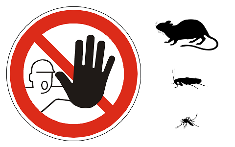 Cómo prevenir la aparición y proliferación de cucarachas, ratas y otras plagas